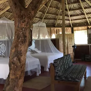 Moringa Ingadi Lodge Treasure Beach